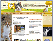 Tablet Screenshot of ecole-du-chat-bordeaux.com
